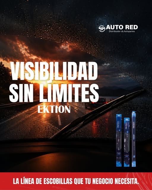 Escobillas Ektion